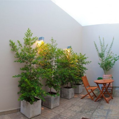 Inmobiliaria 